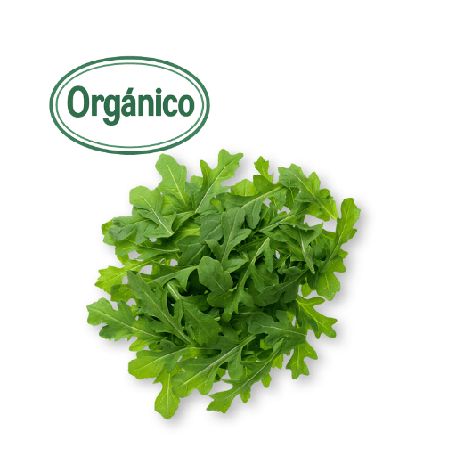 Organic Arugula
