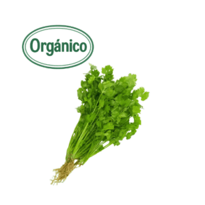Organic Cilantro