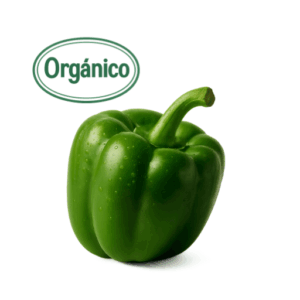 Green Organic Bell Pepper