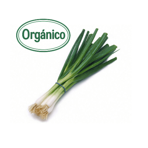 organic green onion
