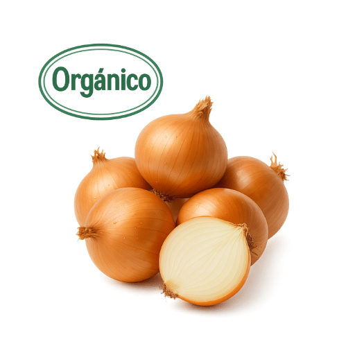 Organic Onion