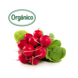 Organic Radish