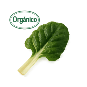Organic Swiss Chard