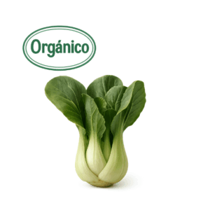 Organic Bok Choy
