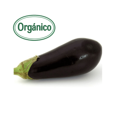 Organic Eggplant