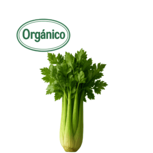 organic celery