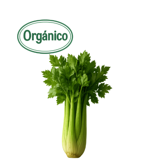 organic celery