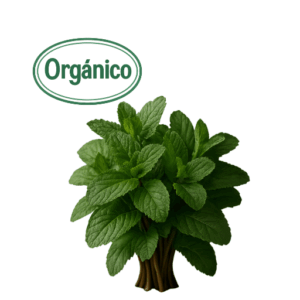 Organic Mint