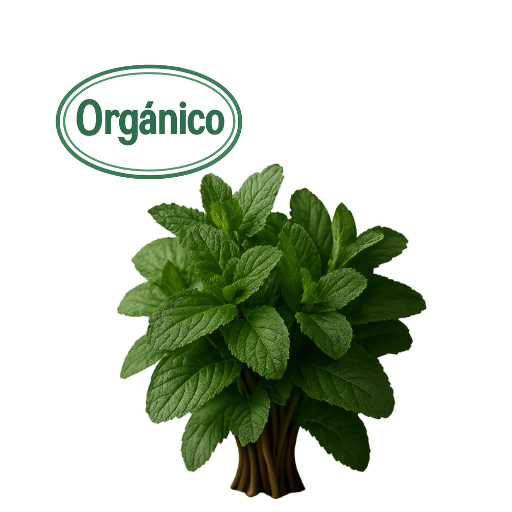 Organic Mint