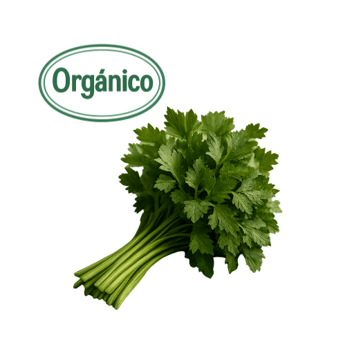Organic Parsley