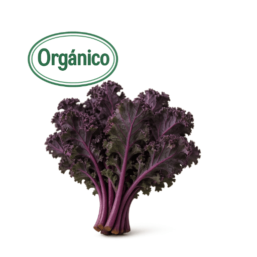 Certified Organic Purple Kale