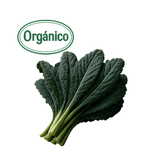 Organic Tuscan Kale