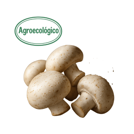 250g Champion Mushrooms