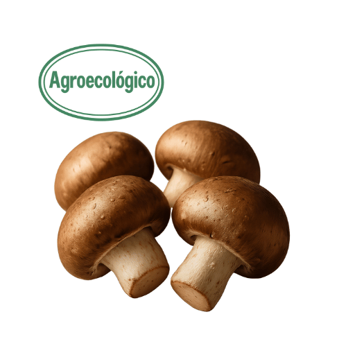 250g Crimini Mushrooms