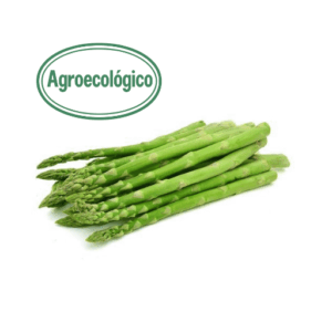asparagus