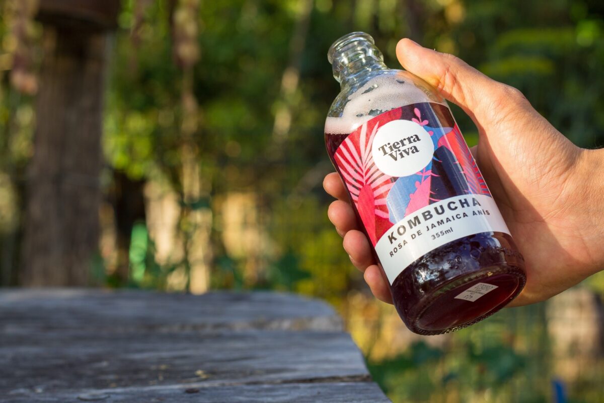 355ml Kombucha Jamaican Rose Anise (Tierra Viva)