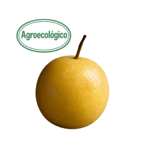 Agroecological Passion Fruit (1) ( Finca el Mirador)