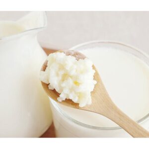 raw kefir costa rica