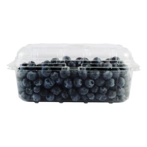 fresh blueberries