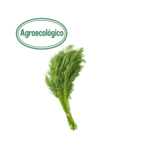 Agroecological Dill