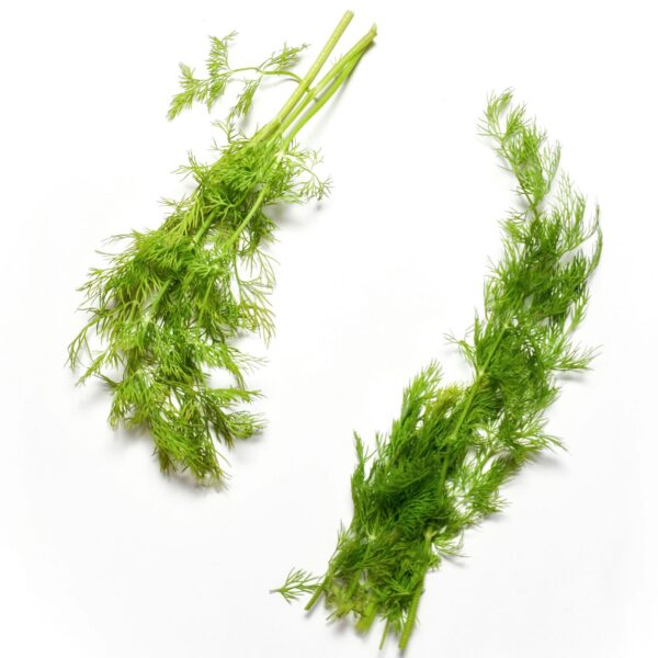 organic dill costa rica