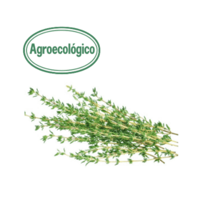Agroecological Thyme