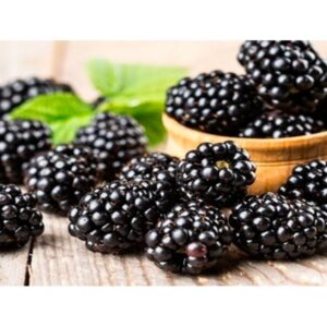 Blackberry Raw Liquid Yogurt