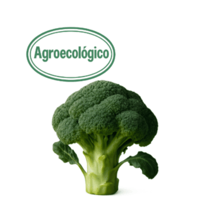 1/2kg Organic Broccoli