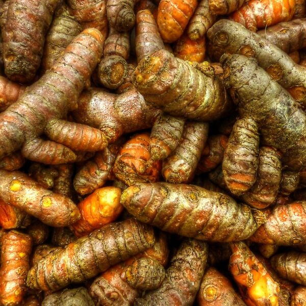 250g Organic Turmeric (Finca S. Cecilia)