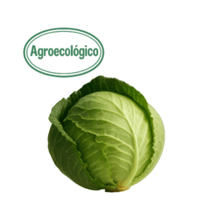 Agroecological Cabbage