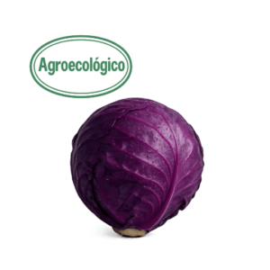 1kg Agroecological Purple Cabbage