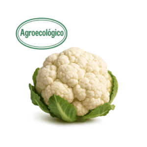 Agroecological Cauliflower