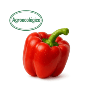Red Agroecological Bell Pepper