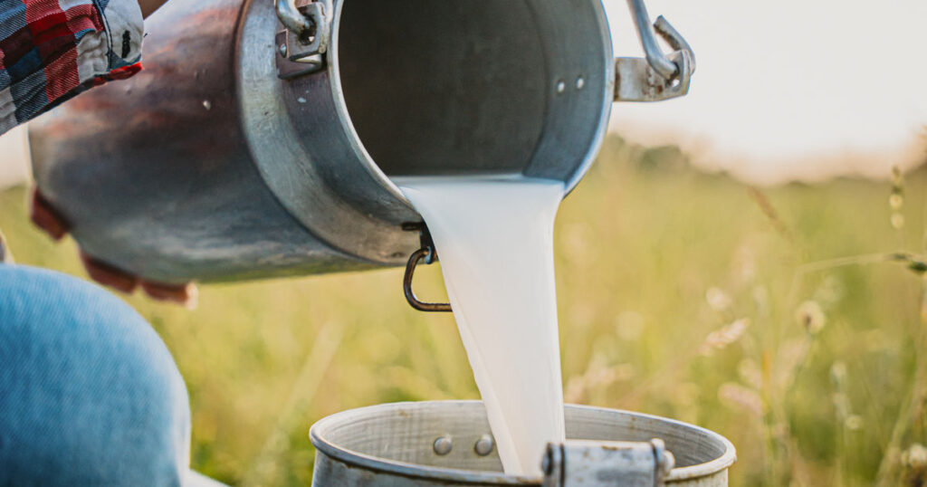 1L Raw Milk in Plastic Container Lecheria Las Lapas