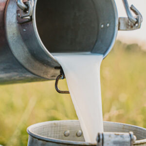 1L Raw Milk in Plastic Container Lecheria Las Lapas