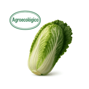 Agroecological Napa Cabbage
