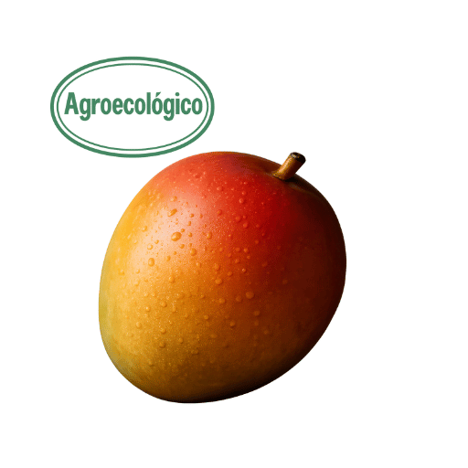 +-500g Agroecological Mango (Finca el Mirador)