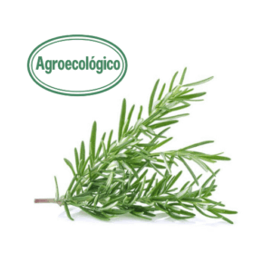 Agroecological Fresh Rosemary