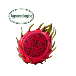 Agroecological Dragonfruit / Pitaya