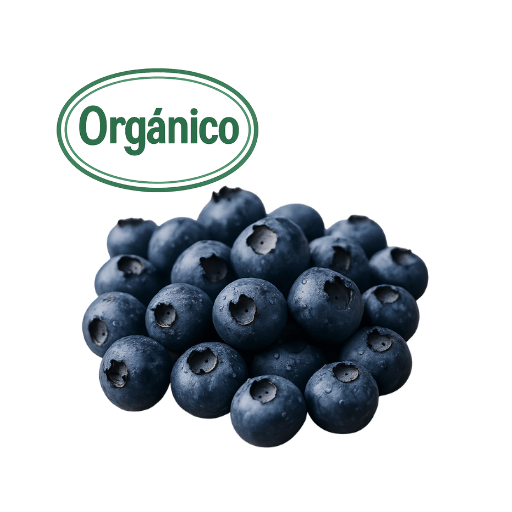 150g Organic Hydroponic Blueberries (Finca Santa Cecilia)