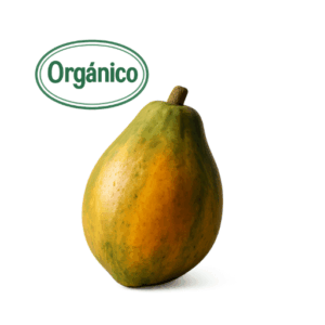 Organic Papaya (1) (Finca S. Cecilia)