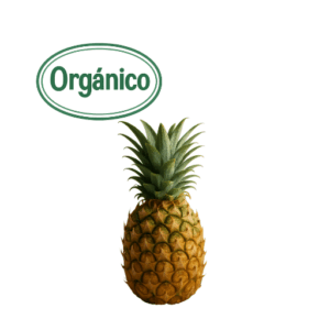 Organic Pineapple (1) (Finca S. Cecilia)