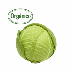 (+-1kg) Organic Cabbage (Finca S. Cecilia)