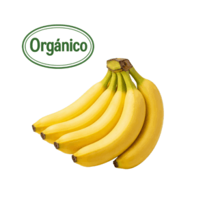 Organic Bananas (6) (Finca S. Cecilia)