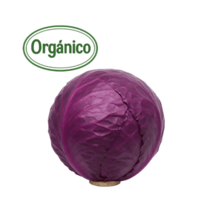 (+-1kg) Organic Purple Cabbage (Finca S. Cecilia)