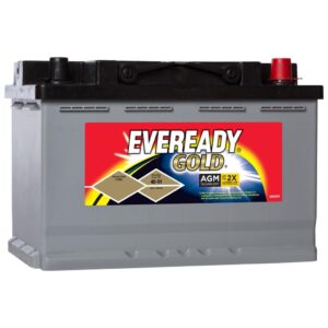 Eveready AGM 4891 Battery