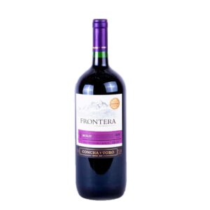 15L Frontera Merlot Chilean Red Wine Bottle