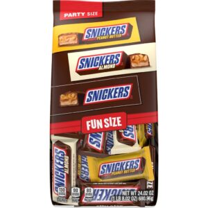 68096g Snickers Chocolate Bar Party Variety Pack